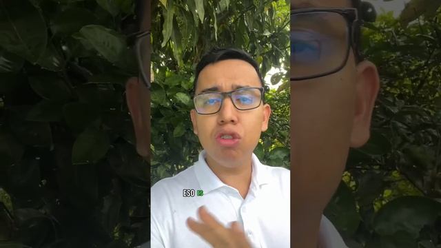 Pagos e información de subsidios semana 11 al 15 de diciembre смотреть онлайн