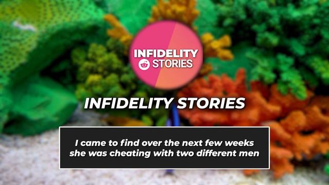 GPS Reveals My Wife's Secret Life: Uncovering the Truth Behind Her Mysterious Nights Out смотреть онлайн