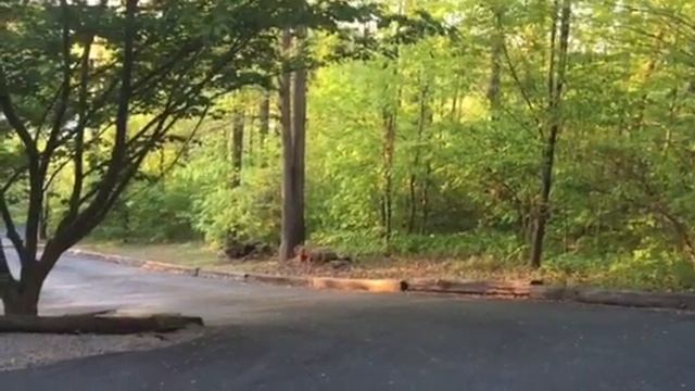 The winds of Seymour смотреть онлайн