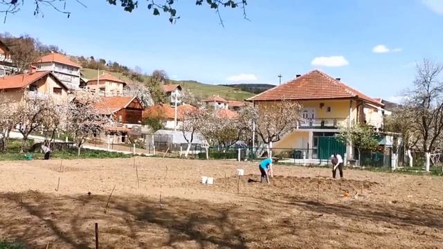 Huawei P30 PRO Time lapse Camera Video hyperlapse timelapse смотреть онлайн