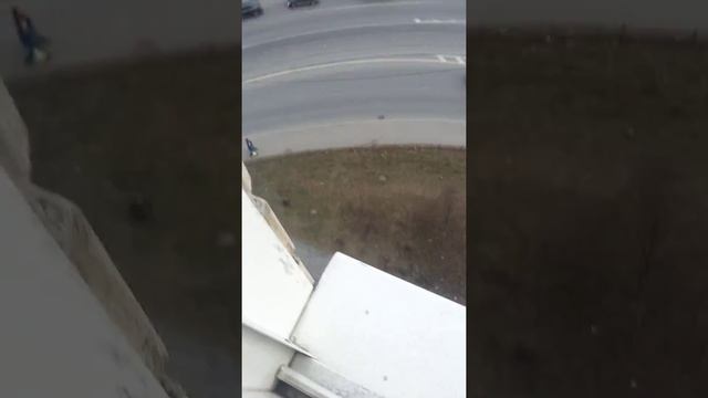Выкинул телефон с 8 этажа смотреть онлайн