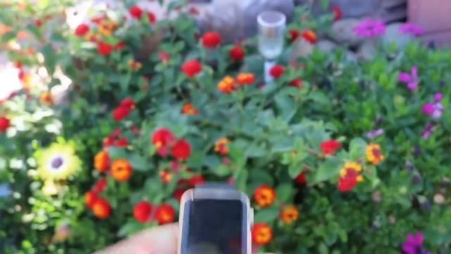 WatchOS 3 (REVIEW) What's Changed? смотреть онлайн