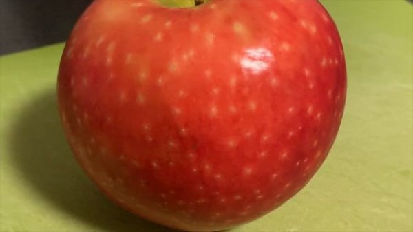 RED FLESHED APPLES! - The Hidden Rose Apple