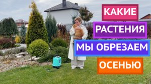 НЕ ОШИБИТЕСЬ ПРИ ОСЕННЕЙ ОБРЕЗКЕ РАСТЕНИЙ!