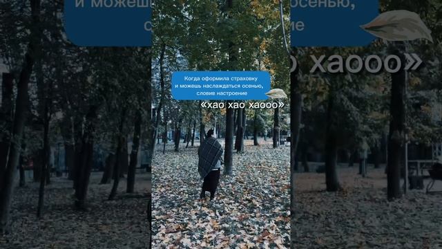 Оформляй страховку и наслаждайся осенью вместе с «Абсолют страхование». смотреть онлайн