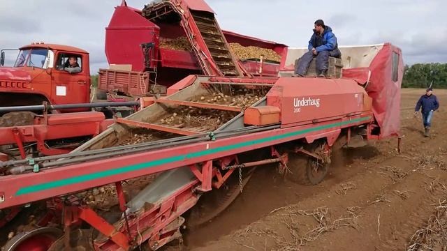 DokaGene Уборка картофеля комбайном Underhaug 2600 смотреть онлайн