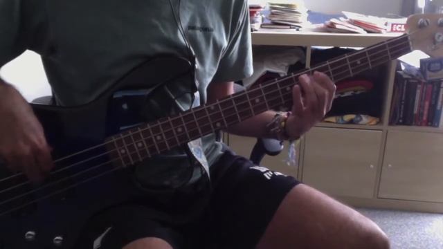 Mac DeMarco - Ode To Viceroy (Bass cover) смотреть онлайн