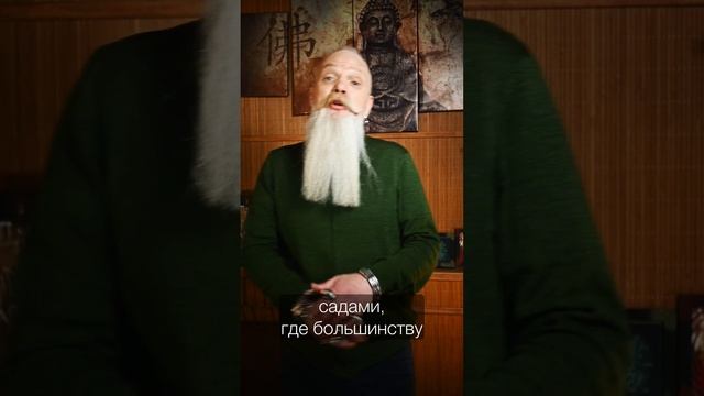 Горы 4 #воронеж #психология #золотойжук #китайскийчай #пуэр #чайныйклуб #китайскийчай #успех смотреть онлайн