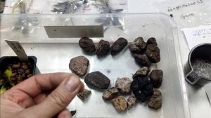 буцефаландры распаковка, нюансы.