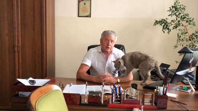 Интервью c Дмитрием Анфимовичем Мартыновым к 150-летию Холмска! смотреть онлайн