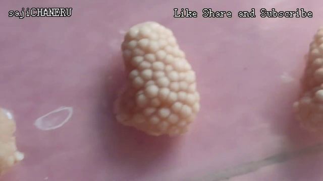 DIY Apple Snail Eggs Incubator смотреть онлайн