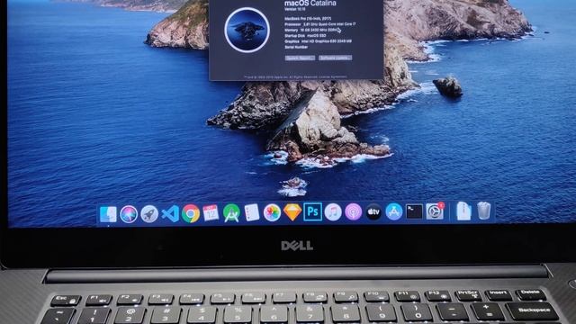 Best Laptops for Premiere Pro in 2023 смотреть онлайн
