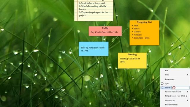 Windows: Different ways of accessing your sticky notes in Notezilla for Windows смотреть онлайн