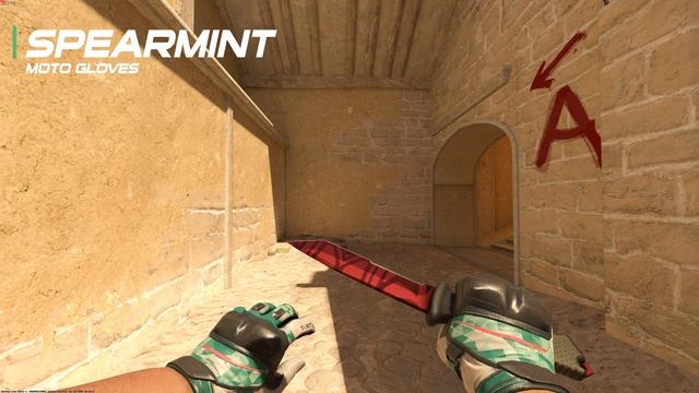 CS2 Moto Gloves - All Gloves In Game Showcase [4K60FPS]