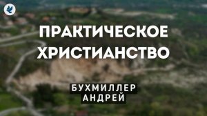Как достигать благочестие в практике. Бухмиллер А.А. Беседа для молодежи МСЦ ЕХБ