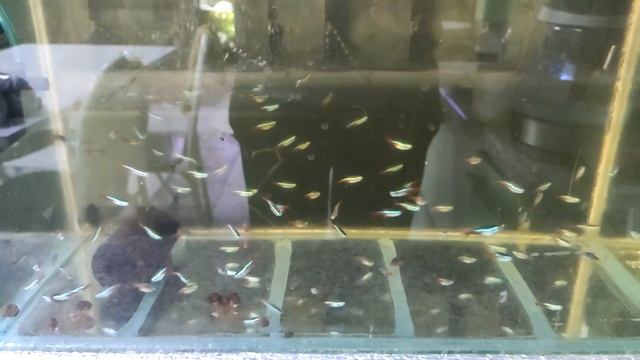 карантин голубого неона смотреть онлайн