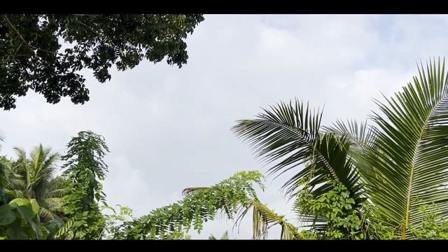 iPhone 13 Pro in 2023 malayalam|Tech Talks with Anees смотреть онлайн