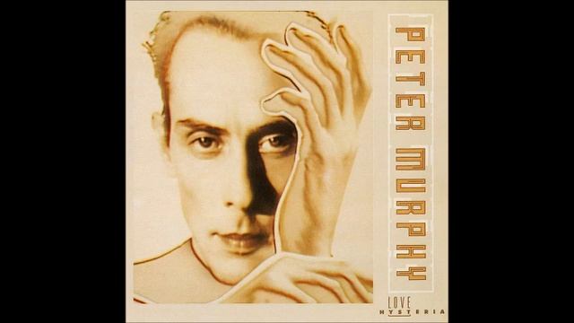 Peter Murphy - Socrates The Python (1988) смотреть онлайн