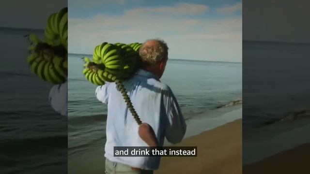 Jeremy Clarkson and Richard Hammond trying to mock Bear Grylls | Grand Tour Madagascar special смотреть онлайн