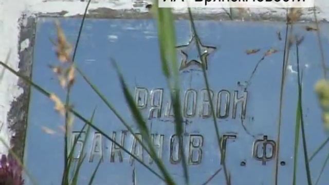 За неделю до 22 июня в Новозыбкове могилы солдат стоят, заросшие травой смотреть онлайн