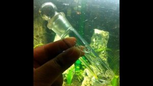 планария способ избавления