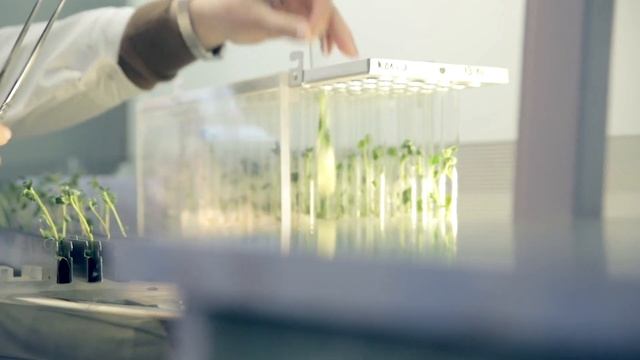 Селекционно-генетический центр "ДокаДжин" смотреть онлайн