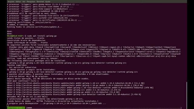Instalando o GOLANG criando HELLO WORLD.go No LiNUX смотреть онлайн
