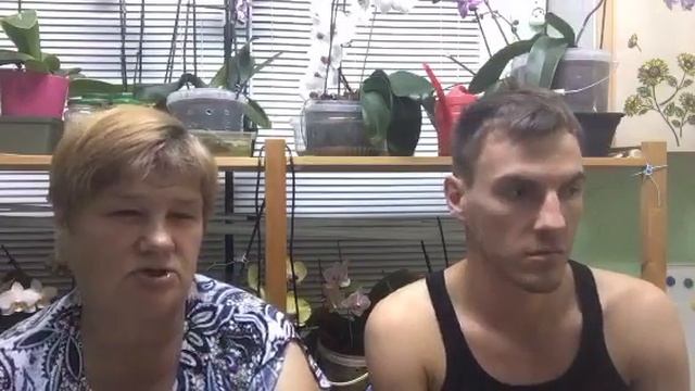 семейные посиделки / миняевы смотреть онлайн