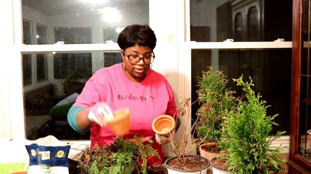 HOW I STORE MY CONTAINERS // REPOTTING PLANTS // GARDEN VLOG смотреть онлайн