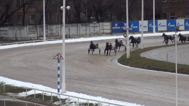 Московский ипподром. Бега. 20.12.15. Заезд 8(717). ПРИЗ ПАМЯТИ М.В.ПЕРОВА смотреть онлайн