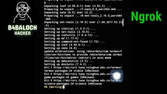 How to Install Ngrok Termux || step by step Guide without Error || #cyberbaloch смотреть онлайн