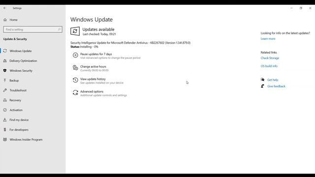 Security Intelligence Update for Microsoft Defender Antivirus - KB2267602 (Version 1.314.879.0) смотреть онлайн