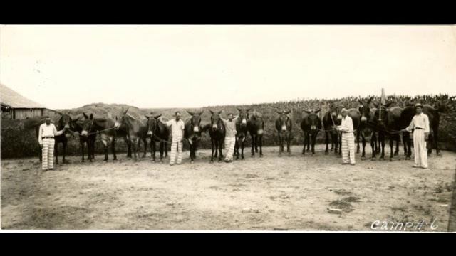 Parchman Farm Blues Bukka White смотреть онлайн