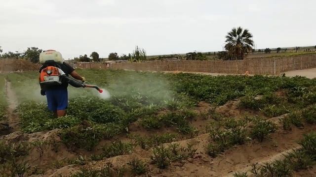 ATOMIZADOR STIHL SR440 смотреть онлайн