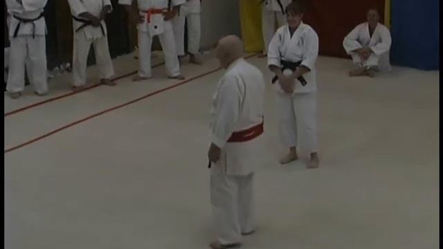 Aikido Randori - Karl Geis and Heather Gawlick смотреть онлайн