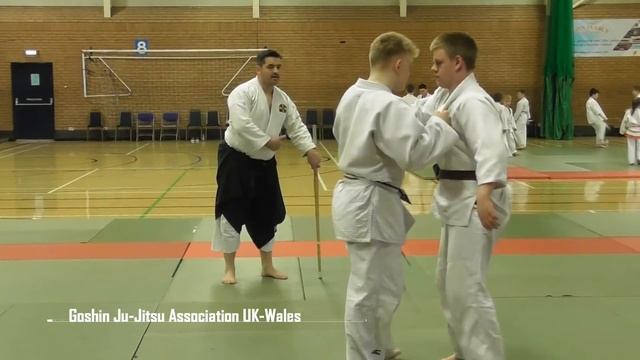 British Budo Association Seminar (Wales) смотреть онлайн