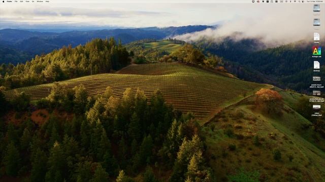 How To Uninstall Microsoft  Office 2024 From Mac Os Completely