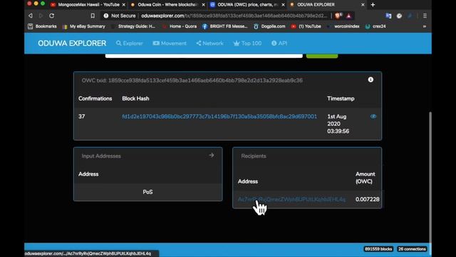 OWC = Oduwa Mining Wallet - put on laptop - plus Oduwa Explorer site. смотреть онлайн