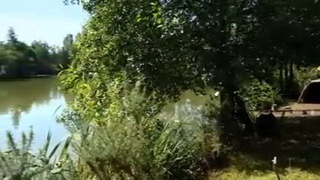 Bentley Fishery Carp TV смотреть онлайн