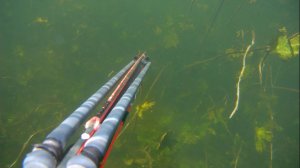 Подводная охота в красивых местах Щука на 5 кг с арбалета