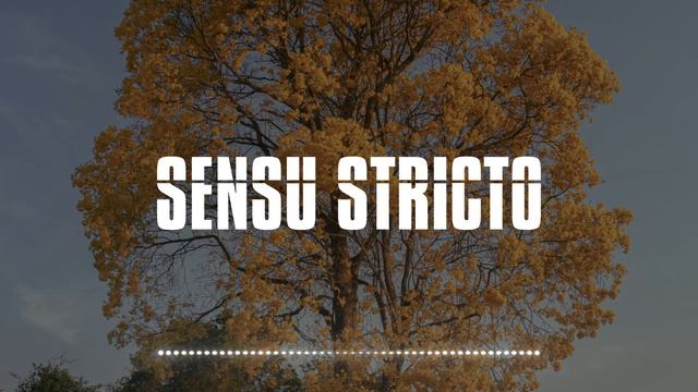 Hayden James ft Emie - Good Life смотреть онлайн