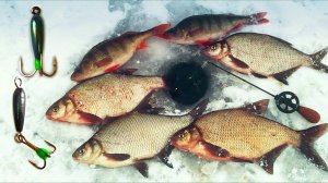 ЭКСКЛЮЗИВНЫЕ БЕЗНАСАДКИ !!! Восторг после первой же рыбалки !!!