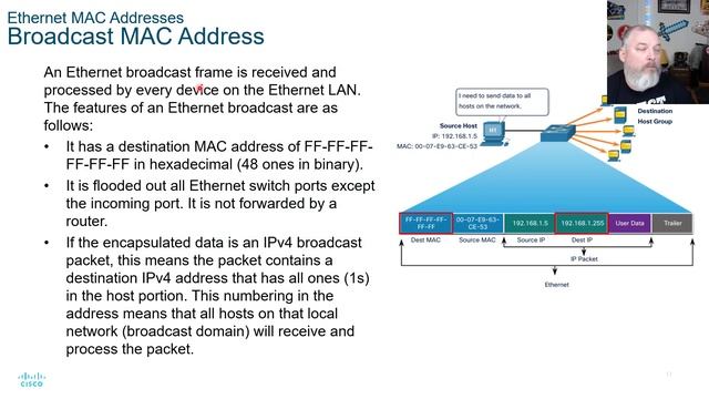 Intro To Networks v7 - Module 7 - Cisco CCNA NETACAD смотреть онлайн