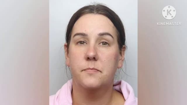 Tory Politician's Wife Jailed For Race Hate Post