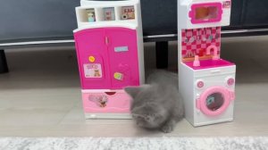 BÜCÜR ELİF SİNEMİ ÇILDIRTTI !! ELİF SİNEMİN OYUNUNU BOZDU !! ÇOK KOMİK ANLAR !!