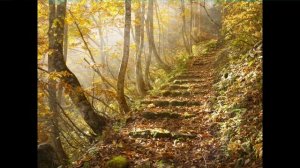 Бабье лето - Владимир Высоцкий
Автор стихов - Игорь Кохановский.