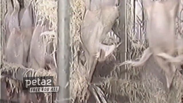 Jenna Jameson Interview смотреть онлайн