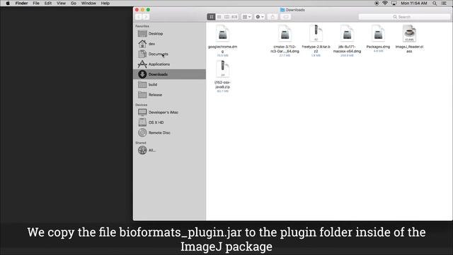 FluoRender Tutorials: Load Files Using ImageJ and Bioformats on the macOS смотреть онлайн