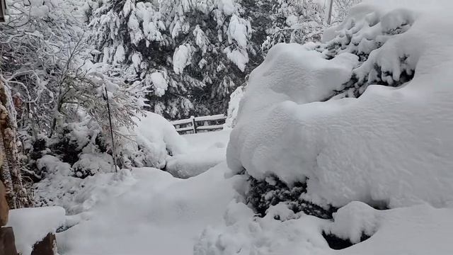 CherkyB WoN: Sunday Morning Snow Report смотреть онлайн