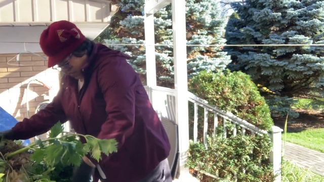 Last year celery’s смотреть онлайн